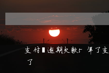 支付寶逾期欠款5年了(支付寶逾期欠款5年了)