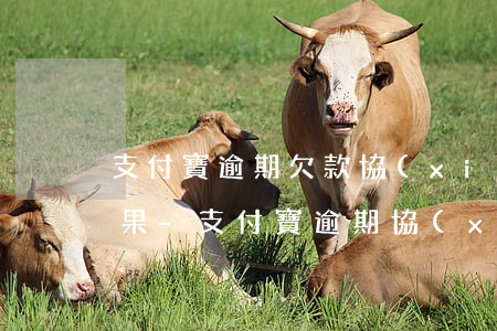支付寶逾期欠款協(xié)商通知多次無果-支付寶逾期協(xié)商失敗