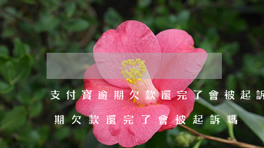 支付寶逾期欠款還完了會被起訴嗎(支付寶逾期欠款還完了會被起訴嗎)