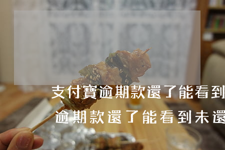 支付寶逾期款還了能看到未還金額-支付寶逾期款還了能看到未還金額嗎