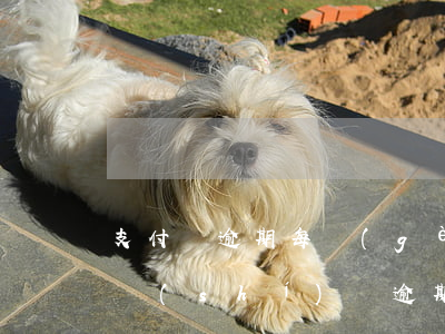 支付寶逾期每個(gè)月慢慢還(支付寶長時(shí)間逾期每個(gè)月都還一點(diǎn)沒事吧)