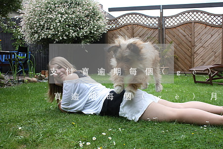 支付寶逾期每個(gè)月還1000(支付寶逾期每個(gè)月還點(diǎn)行不行)