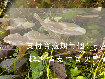 支付寶逾期每個(gè)月還不夠最低會被起訴嗎（支付寶欠款逾期會限額嗎）