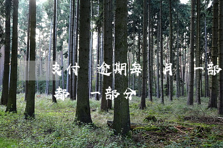 支付寶逾期每個月還一部分(支付寶逾期每月都還一部分)