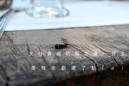 支付寶逾期每次還一分(支付寶逾期時間長,但是每次都還了點(diǎn))