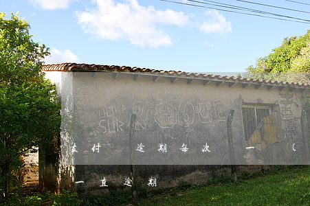 支付寶逾期每次還一點(diǎn)(支付寶一直逾期)