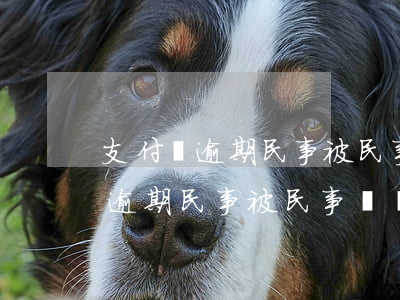 支付寶逾期民事被民事訴訟會怎樣-支付寶逾期民事被民事訴訟會怎樣呢