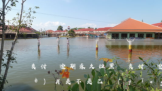 支付寶逾期永久拉黑嗎(支付寶逾期四個(gè)月是不是已經(jīng)是黑名單了)