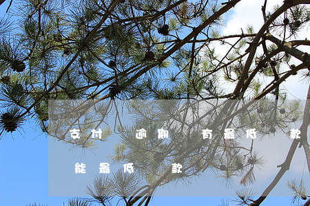 支付寶逾期沒有最低還款了(支付寶逾期了不能最低還款嗎)