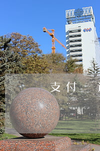 支付寶逾期沒有還款(支付寶逾期付不了款)