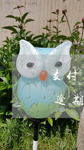 支付寶逾期沒有還款渠道了怎么辦-支付寶逾期沒有還款渠道了怎么辦呢