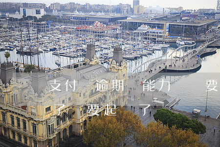 支付寶逾期沒能力償還要被起訴(支付寶逾期了說要起訴了)
