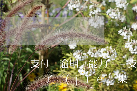 支付寶逾期沒能力還-支付寶逾期沒有能力還了結(jié)果會(huì)怎么樣