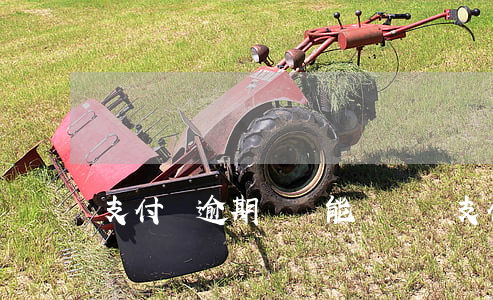 支付寶逾期沒還能買車嗎 支付寶逾期買不了車
