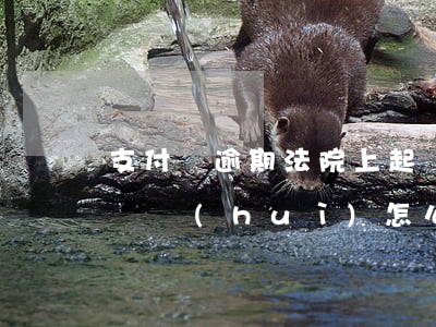支付寶逾期法院上起訴-支付寶逾期法院起訴會(huì)怎么樣