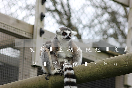 支付寶逾期法院起訴是真的嗎（支付寶逾期說起訴了法院會(huì)上門嗎）