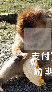 支付寶逾期注冊(cè)新的支付寶 支付寶逾期注冊(cè)新的支付寶