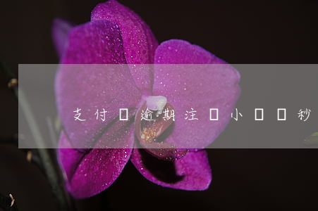 支付寶逾期注冊小號會秒扣