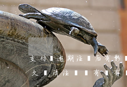 支付寶逾期注銷后有影響嗎-支付寶逾期太久,還清注銷還有沒有記錄