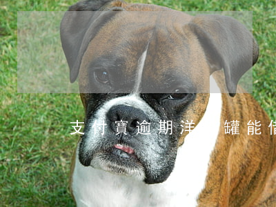 支付寶逾期洋錢罐能借嗎