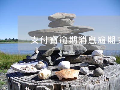 支付寶逾期消息（逾期支付寶短信）