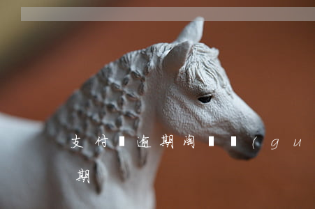 支付寶逾期淘寶關(guān)閉(支付寶逾期)
