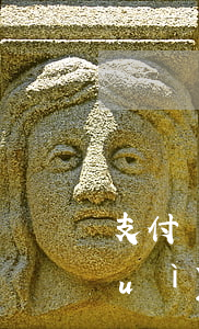 支付寶逾期減免是真的嗎(支付寶逾期會(huì)不會(huì)降額)