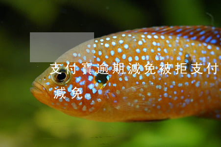 支付寶逾期減免被拒 支付寶花唄逾期違約金減免