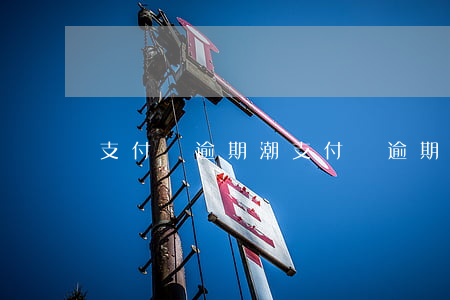 支付寶逾期潮(支付寶逾期潮)