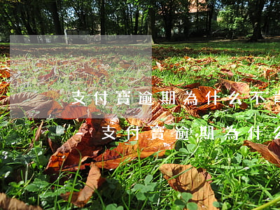 支付寶逾期為什么不肯個(gè)性化分期-支付寶逾期為什么不能協(xié)商