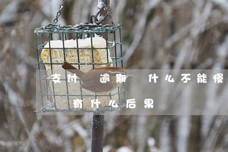 支付寶逾期為什么不能慢慢還(支付寶逾期不還有什么后果嗎)