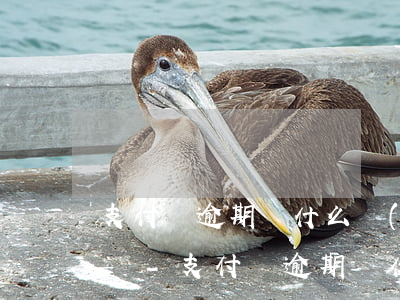 支付寶逾期為什么會(huì)接到本地電話-支付寶逾期為什么會(huì)接到本地電話呢