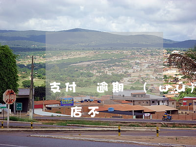 支付寶逾期無(wú)人店(支付寶逾期可以開店不)