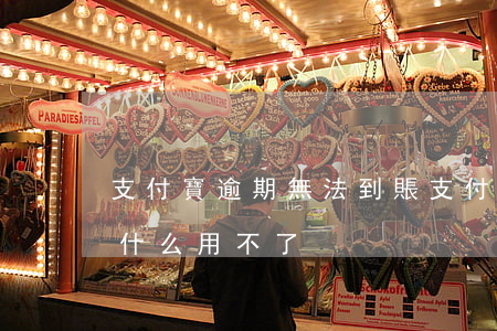 支付寶逾期無法到賬(支付寶逾期之后還了為什么用不了)