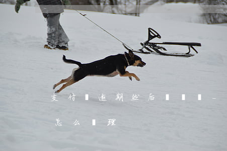 支付寶逾期然后說凍結-支付寶逾期被凍結怎么處理