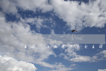 支付寶逾期照片大全(支付寶逾期截圖)