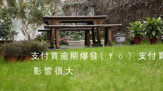 支付寶逾期爆發(fā) 支付寶逾期是不是影響很大