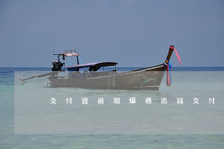 支付寶逾期爆通迅錄 支付寶逾期爆通迅錄