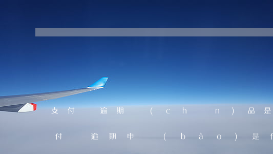 支付寶逾期產(chǎn)品是什么意思（支付寶逾期申報(bào)是什么意思）