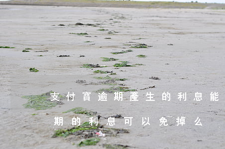 支付寶逾期產生的利息能商量嘛-支付寶逾期的利息可以免掉么