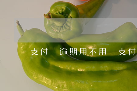 支付寶逾期用不用還(支付寶逾期用不用還)