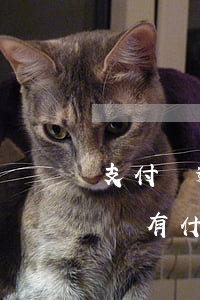 支付寶逾期用戶數(shù)量(支付寶逾期會有什么大問題嘛?)