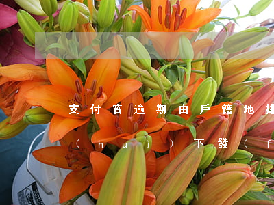 支付寶逾期由戶籍地排期(支付寶逾期了說會(huì)下發(fā)到戶籍所在地是什么鬼)