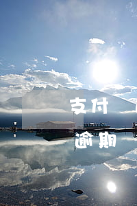 支付寶逾期申訴不見(jiàn)了(支付寶逾期記錄申訴成功要多久消除)