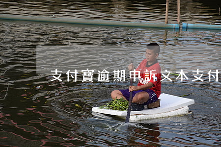 支付寶逾期申訴文本(支付寶逾期申訴范本)