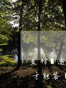 支付寶逾期申訴方案(支付寶逾期申訴要多久才能答復(fù))