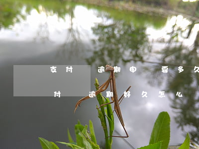 支付寶逾期申訴要多久才能答復(fù) 支付寶逾期好久怎么辦