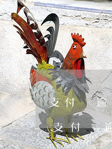 支付寶逾期申請(qǐng)什么信用卡嗎(支付寶逾期后還清了多久才能辦信用卡)