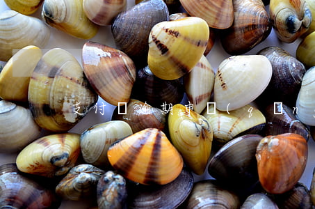 支付寶逾期申請(qǐng)分期