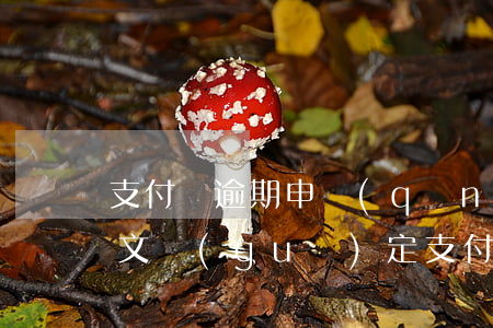 支付寶逾期申請(qǐng)延期還款的明文規(guī)定（支付寶逾期申請(qǐng)延期還款）